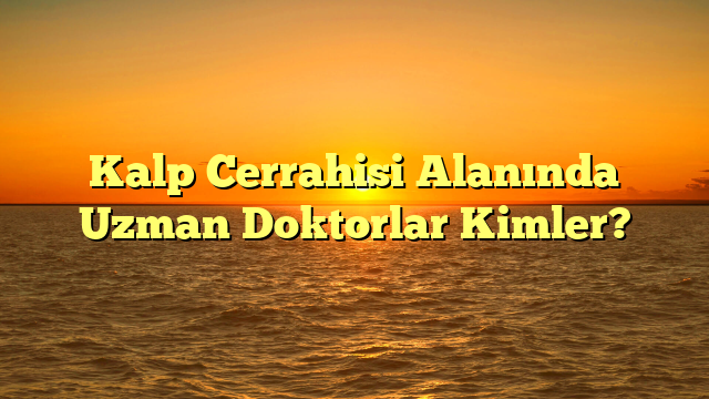 Kalp Cerrahisi Alanında Uzman Doktorlar Kimler?