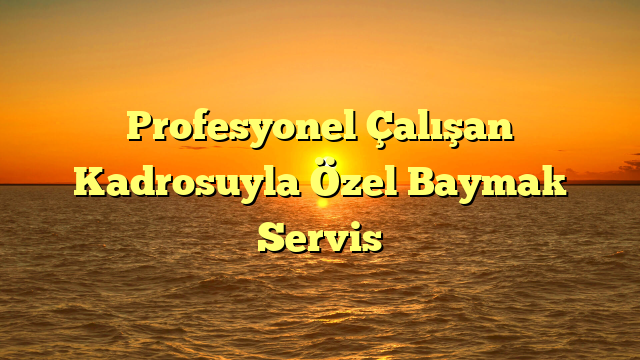 Profesyonel Çalışan Kadrosuyla Özel Baymak Servis